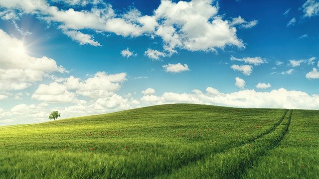 函轉教育部「114年度祖父母節『AI再現回憶』文稿及照片徵件活動」簡章及海報