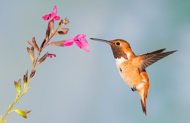 〔轉知〕元生國民小學〔特教知能研習〕--發揮教學影響力的關鍵方法--
