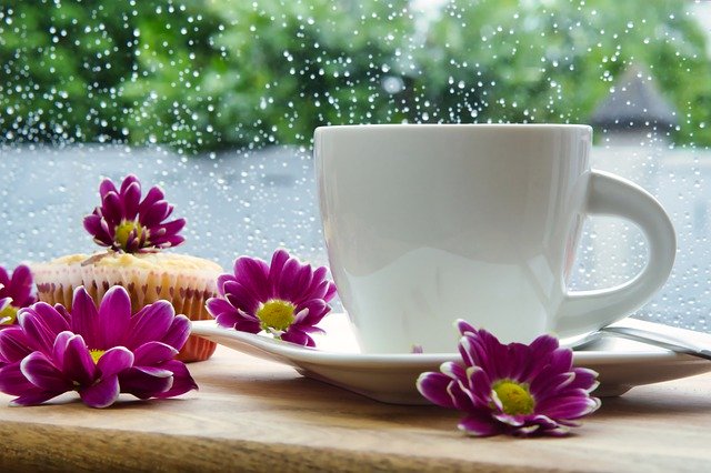 有關本市112年度國民小學候用校長辦學理念公開說明會請協助公告周知一案，請查照。