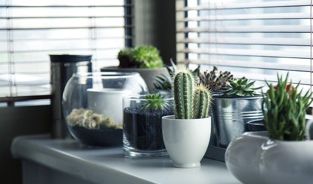 本校113學年度第三次兒童課後照顧服務教師甄選結果