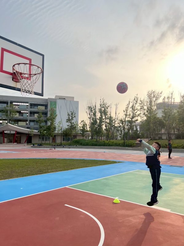 113-2籃球社C