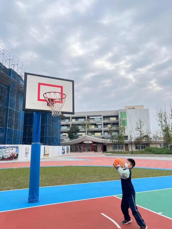 113-2籃球社C