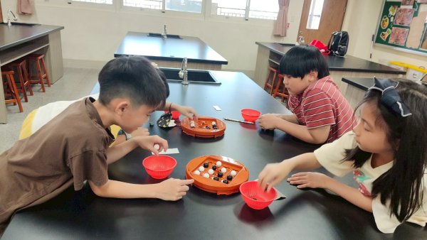 113-2益智桌遊社