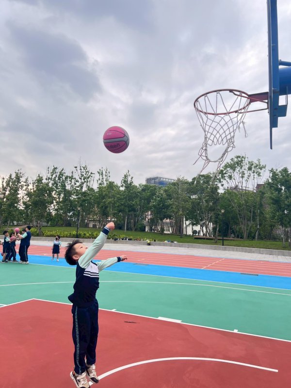 113-2籃球社C
