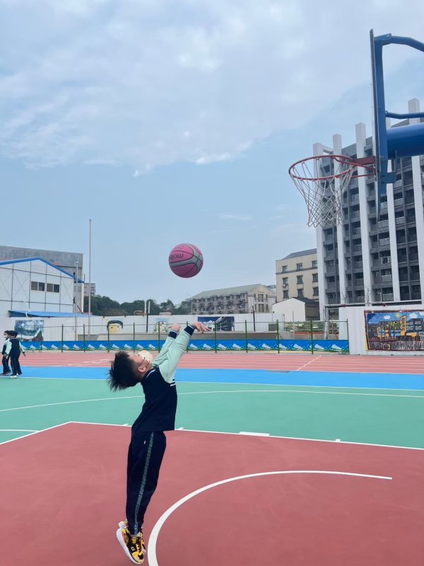 113-2籃球社C