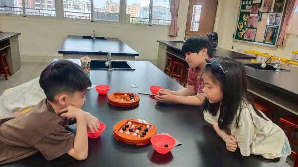 113-2益智桌遊社