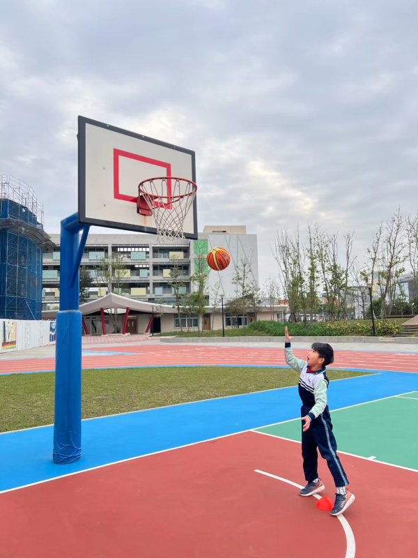 113-2籃球社C