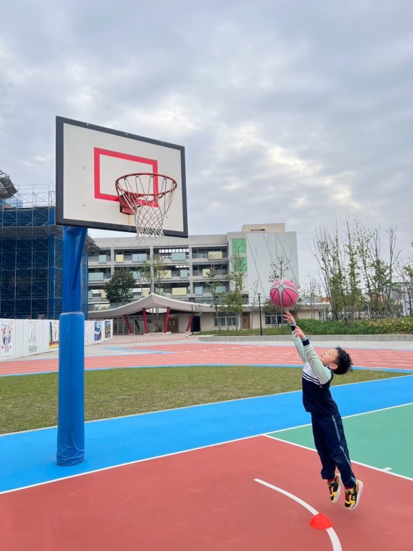 113-2籃球社C