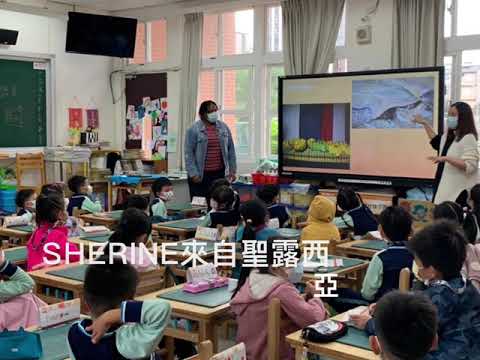 國際教育-認識聖露西亞